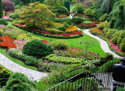 Krásně upravená zahrada