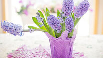 Přivolejte jaro pomocí čerstvých řezaných květin