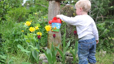 Naučte děti lásce k přírodě pomocí zahradničení