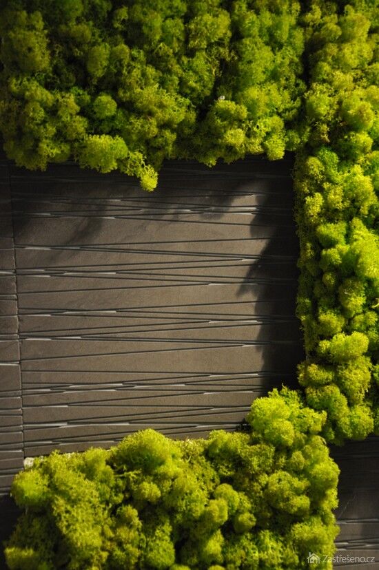 interiérové osázení stěn – neuvěřitelné ztvárnění