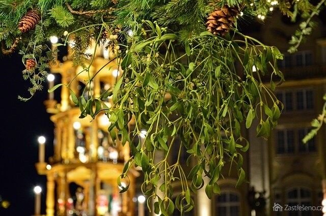 Jmelí funguje na celou řadu zdravotních neduhů a také přivolává lásku a štěstí