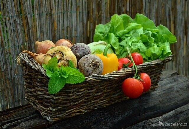Jakou letos pěstovat zeleninu?
