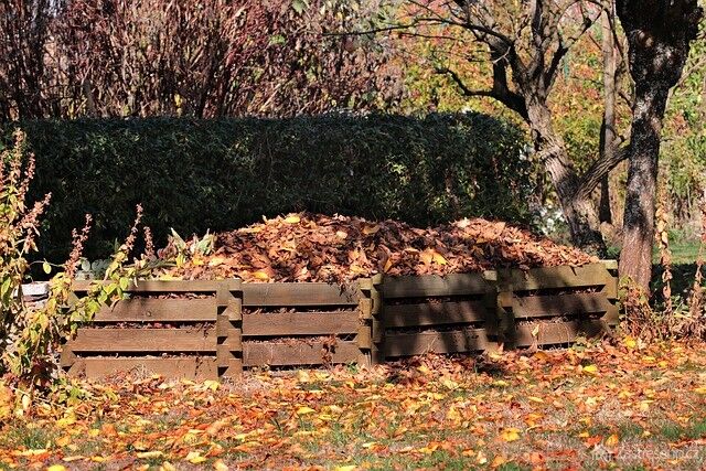Na podzim kompost přikryjte listím