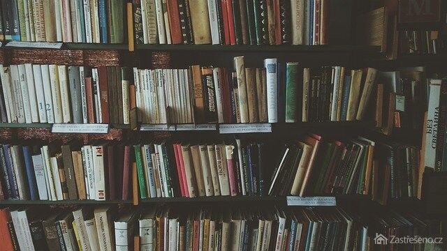 Přehledná knihovna nemusí být jenom sen