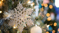 Kdy je správný čas na to, abyste se zbavili vánočního stromečku